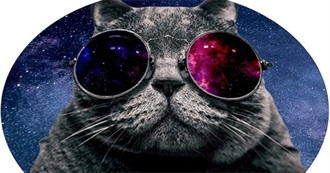 Books I've Read That You May Not Have Heard of **23