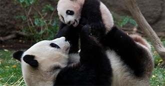 Where Do You Want to Travel to This Summer?