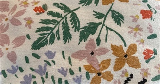 Lucy&#39;s Films Watched 2024