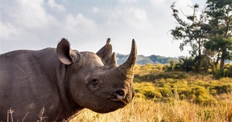 24 Movies With an Animal in the Title Part 6