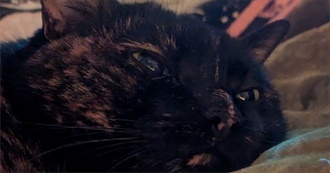 Nook&#39;s Films I&#39;ve Loved