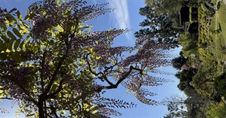 Anja&#39;s Top 100 Movies