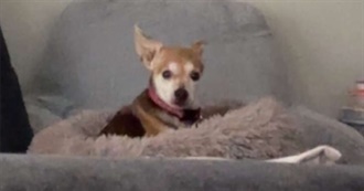 Cam&#39;s Top 100 TV Shows