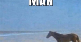 Felix&#39;s Fave Fandoms