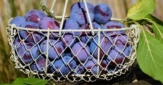 Color Day Part 4 - 10 Purple Fruits