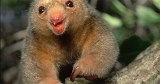 Robin Movie List Extravaganza