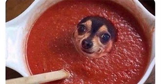 Foods Itzyblackpinktwice Loves