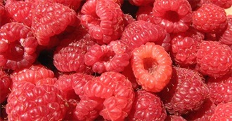 Food Beginning With R