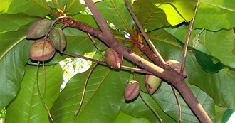 Wanna Try Foods Starting With &quot;I&quot;