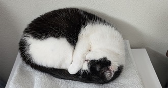 Carew&#39;s Influences