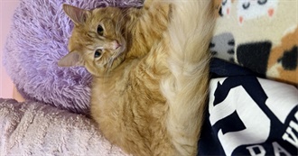 Books That Have Shaped Emily Cosette