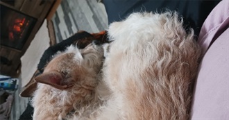 Nymlok&#39;s Favorite Books