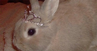 Ron&#39;s Mostly Nostalgia Movies