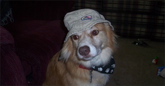 Max&#39;s Albums List