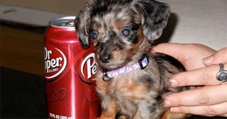 Notyourblogkeeper&#39;s Favorite Shows