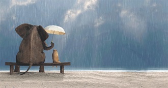 Distract Myself From Problems of the World Film Festival