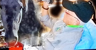 Movies Seen in December Pt1