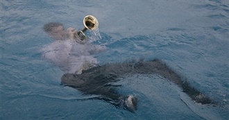 Cameron&#39;s Top Albums