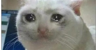 Hanne&#39;s Movie List