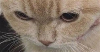 Kodawoda Add Me as a Friend