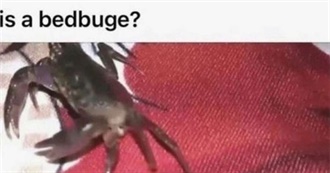 Characters System32 Really Likes a Lot