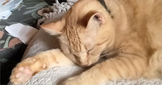 Hayley&#39;s Top Non-Horror Movies