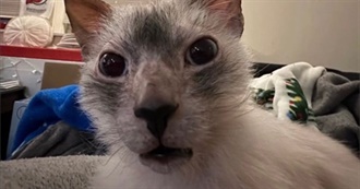 Null&#39;s World :Smiles: