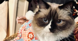 MOVIES Ive Heard of Em