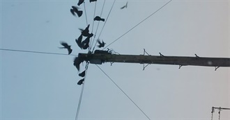 All of Kit&#39;s Books He&#39;s Read