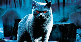 Some of the Best: Movies Directed by Women