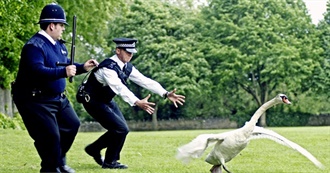 2007 Films Quintonjamin Has Watched