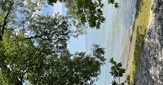 How Many Songs Do You Know? (Full Musical Scale)