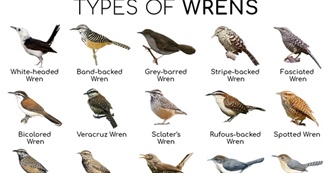 Books With &quot;Wren&quot; in Their Titles (Fiction, SF, Fantasy)