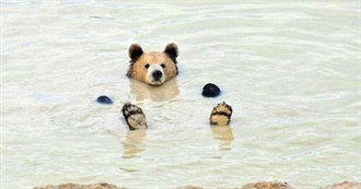 Jules&#39; Fave Music