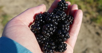 80 Black Vegan Foods