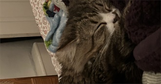 Madison&#39;s Fiction Shelves