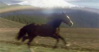 Silly Movies for a Silly Guy :3 (Lydia&#39;s Faves)