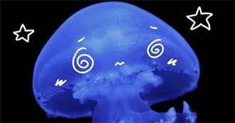 Kane&#39;s Little Souvenirs