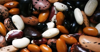 120 Foods Based on Beans