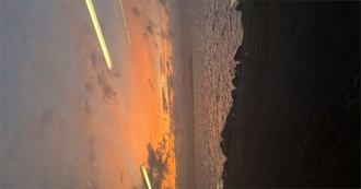 Fenella&#39;s Top 100 Movies