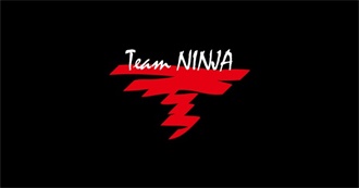 Team Ninja Games