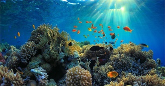 Aquariums - Global List