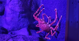 Ryan&#39;s Top 100 Movies