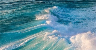 Movies on F.T&#39;s Laptop