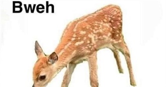 Marte&#39;s Favorites