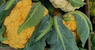 Wanna Try Foods Starting With O