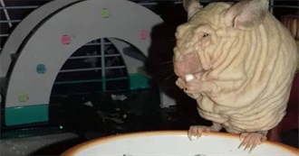 Kappi&#39;s Book List