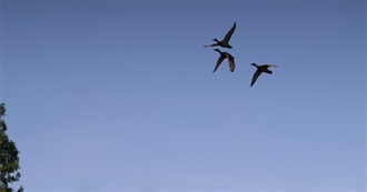 Reg&#39;s Fav Albums