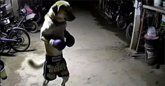 Another 100 Great Movies ;)