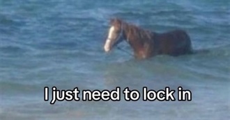 Horsey&#39;s Top 50 Albums